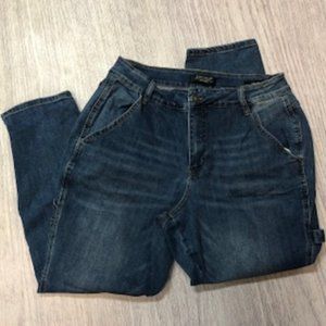 Judy Blue Carpenter Pants - size 14W